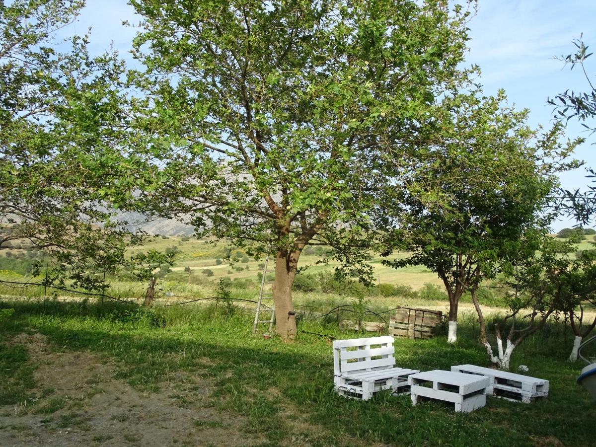 Melenios Houses Samothraki Ngoại thất bức ảnh