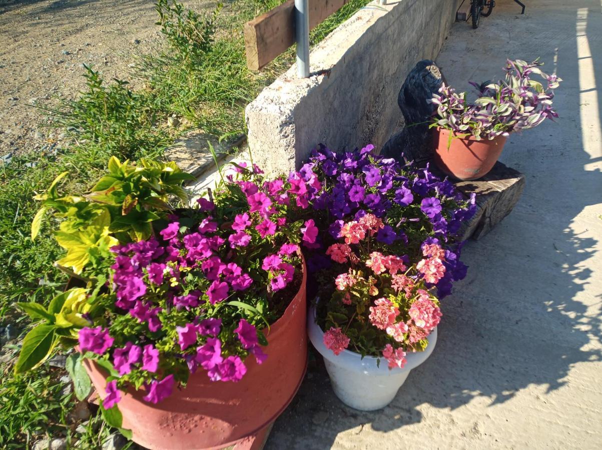 Melenios Houses Samothraki Ngoại thất bức ảnh